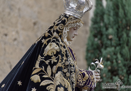 Traslado a Catedral 2022
