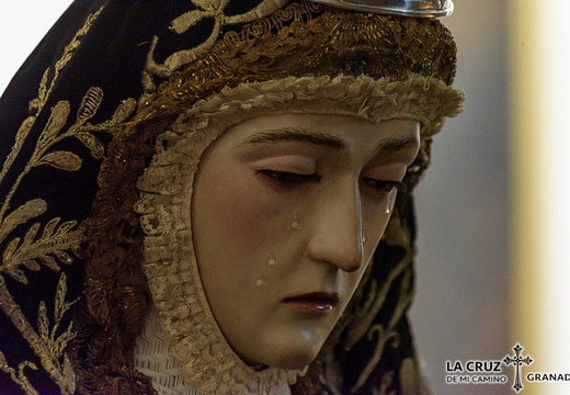 Día Inmaculada Concepción 2022